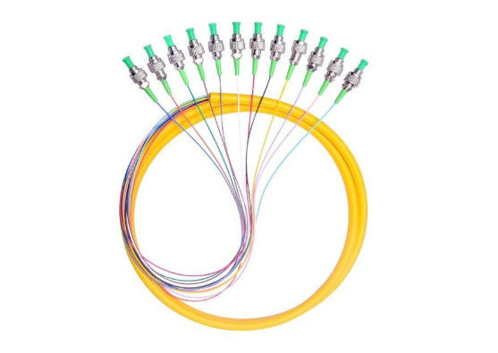 12 de kernen kiezen de Vezel Optische Kabel van de Wijzevlecht FC/APC 2.0mm 1M voor FTTH-Systeem uit leverancier