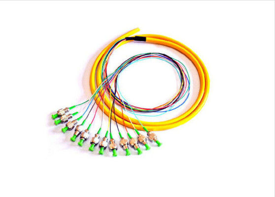 12 de kernen kiezen de Vezel Optische Kabel van de Wijzevlecht FC/APC 2.0mm 1M voor FTTH-Systeem uit leverancier